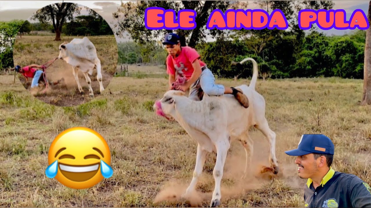 Eu achei que o boi detona tava pronto,mas não tá 😳