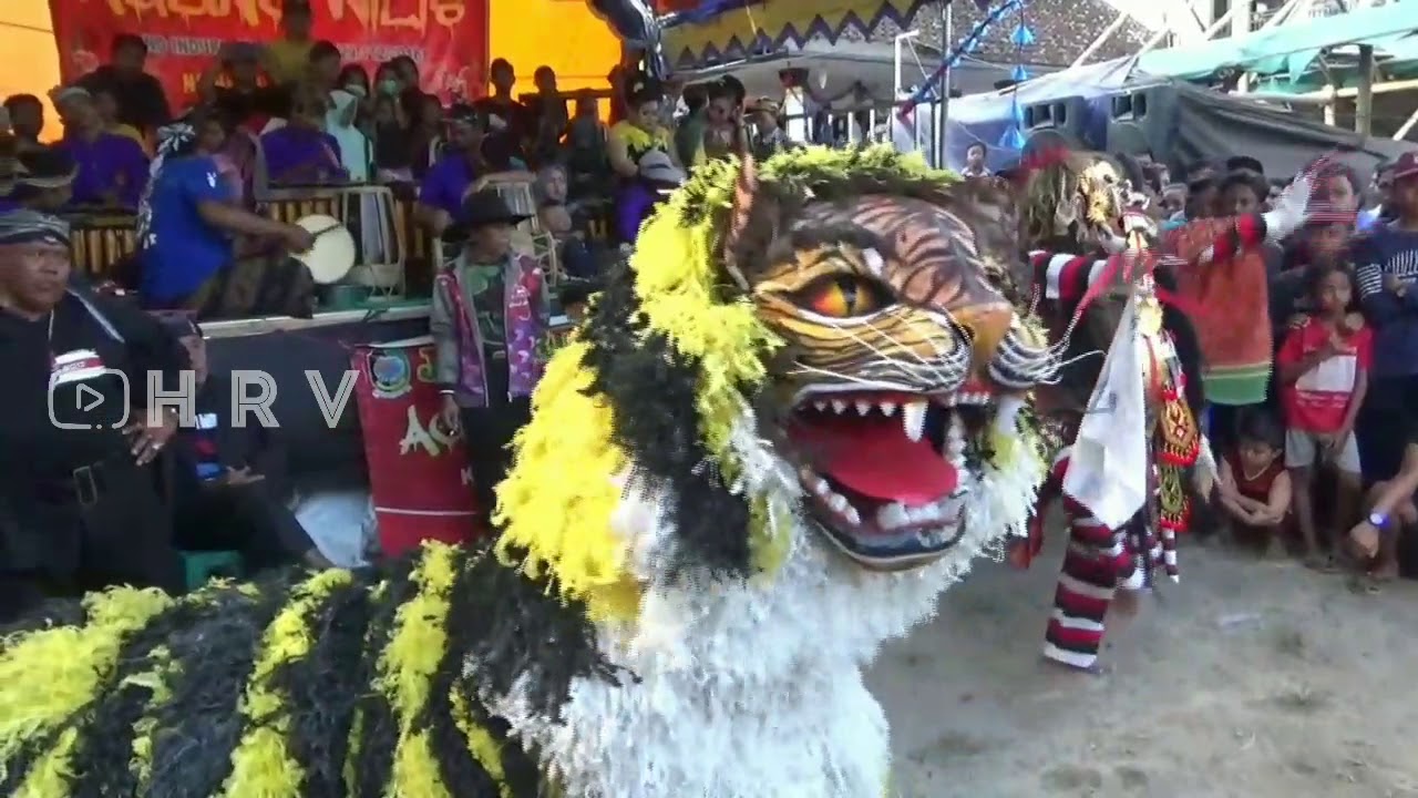 Leak Barong Macan Agung Wilis kepatihan Cluring