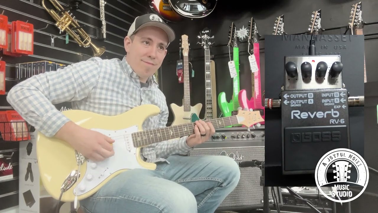 Boss RV 6 Reverb Pedal Review