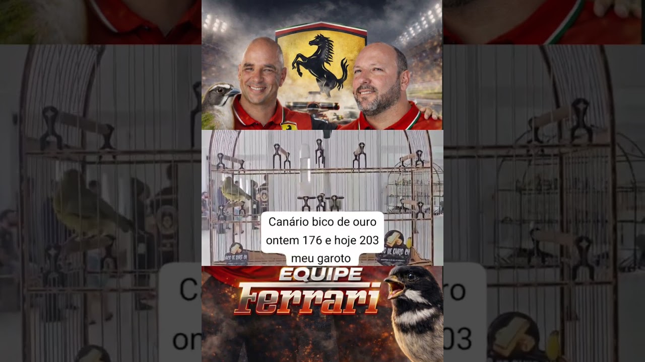 Equipe Ferrari vários pássaros acima dos 200 cantos 