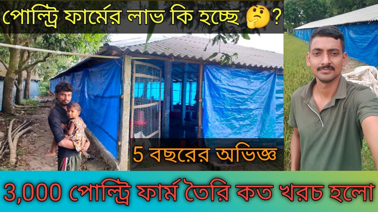 3,000 পোল্ট্রি ফার্ম তৈরি কত খরচ হলো/ poultry farming/ chicken farm/ boiler farm house/ murgi farm