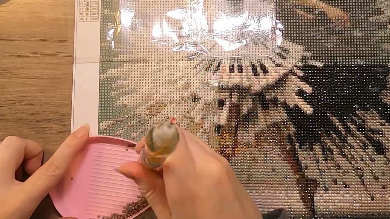 Piano Ballerina | Diamond Painting Time Lapse