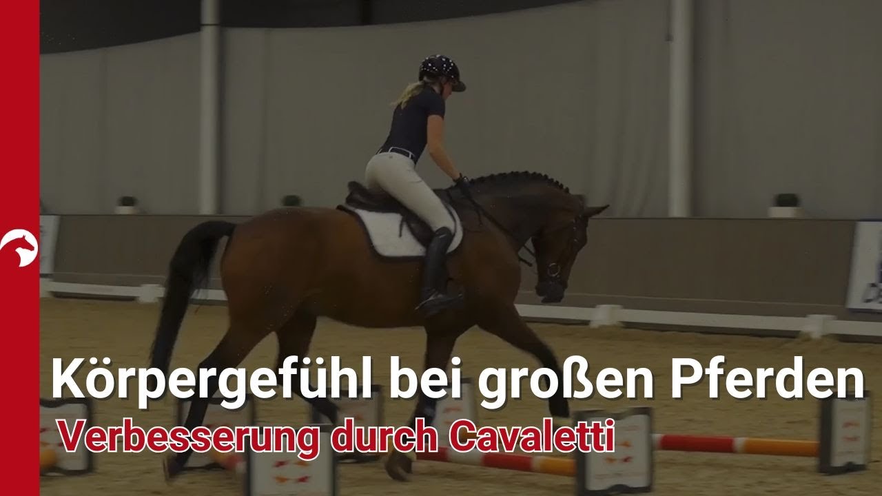 Körpergefühl bei großen Pferden verbessern🐴