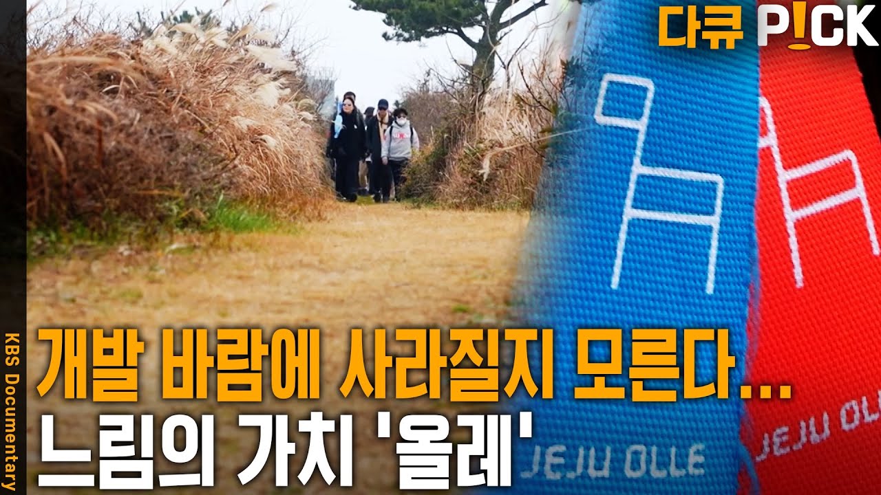 새로 내는 것보다, 유지하는 게 더 어려울지도 모른다… 제주의 '속살'을 걷는 올레길은 지속 가능할 수 있을까? | KBS 20240220 방송