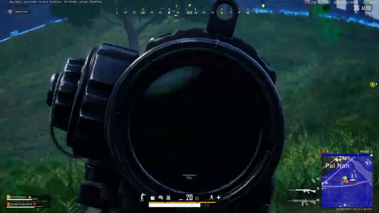 Duo Chicken Dinner