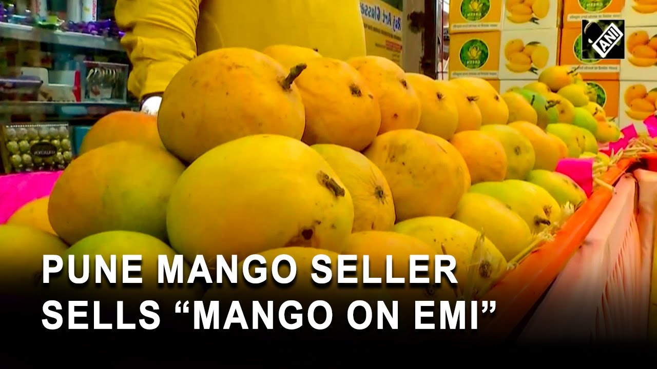 Pune mango seller introduces EMI payment option to woo customers