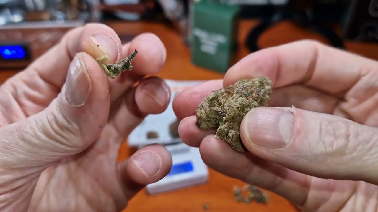 Grandi Guava BUDS | 25% | 8/g | Decibel, Qwest, 4C Labs & Xeal
