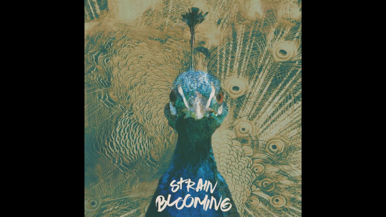 Strain - Little Thunderstorms