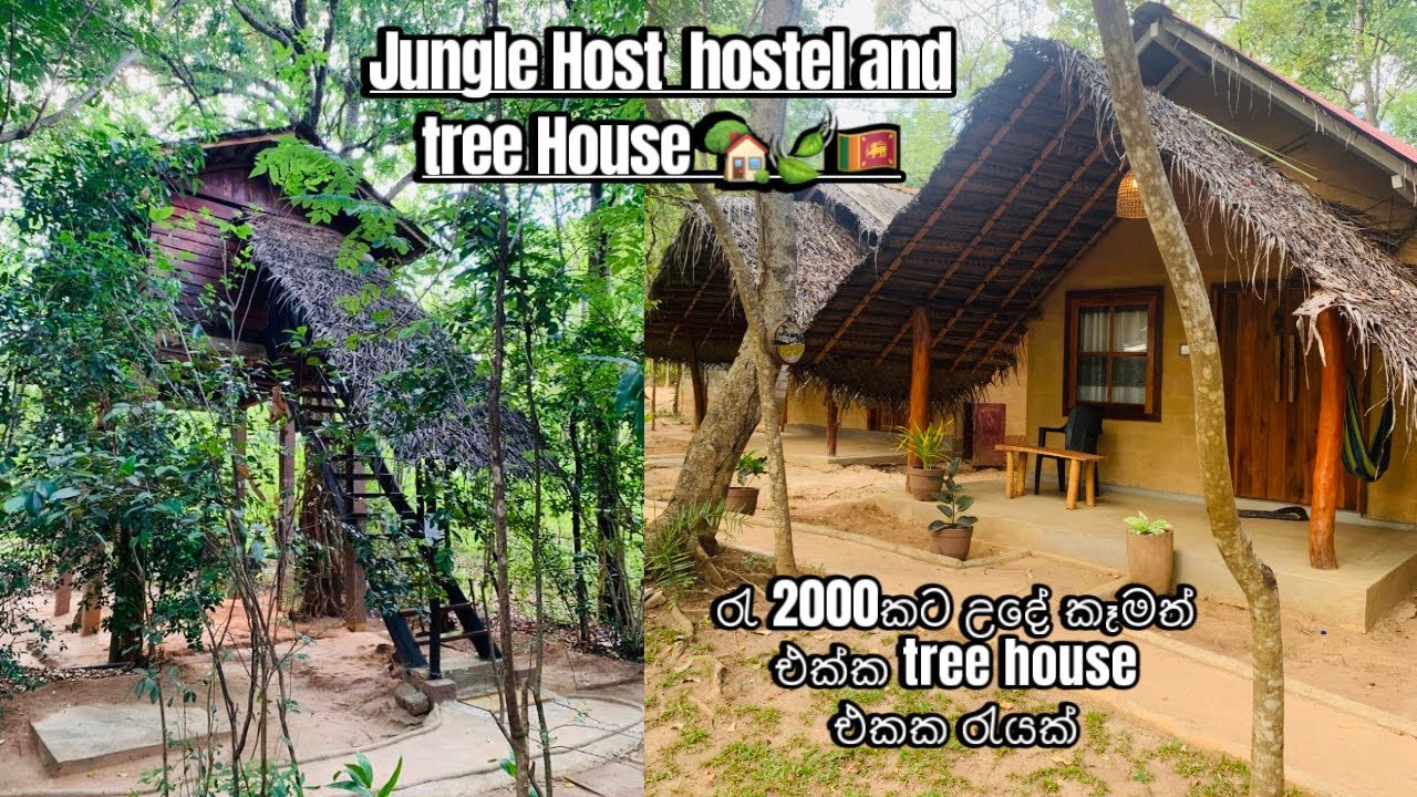 රැ 2000 ට උදේ කෑමත් එක්ක #treehouse එකක 🏡රැයක් #budgethotel #hotel #mudhouse #trending  #youtube