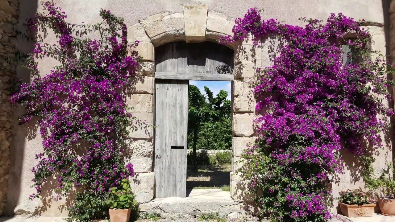Portel des Corbieres