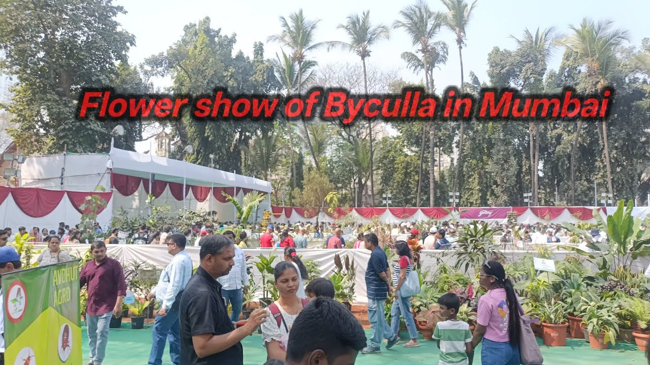 ### Flower show of Byculla in Mumbai . ###♥️♥️♥️♥️♥️♥️♥️♥️♥️###