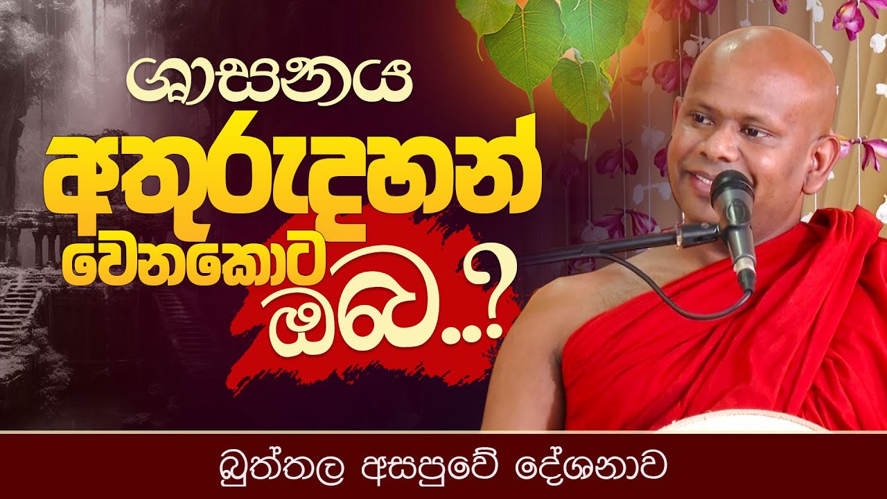 ශාසනය අතුරුදන් වෙනකොට ඔබ..?  | Venerable Welimada Saddaseela Thero