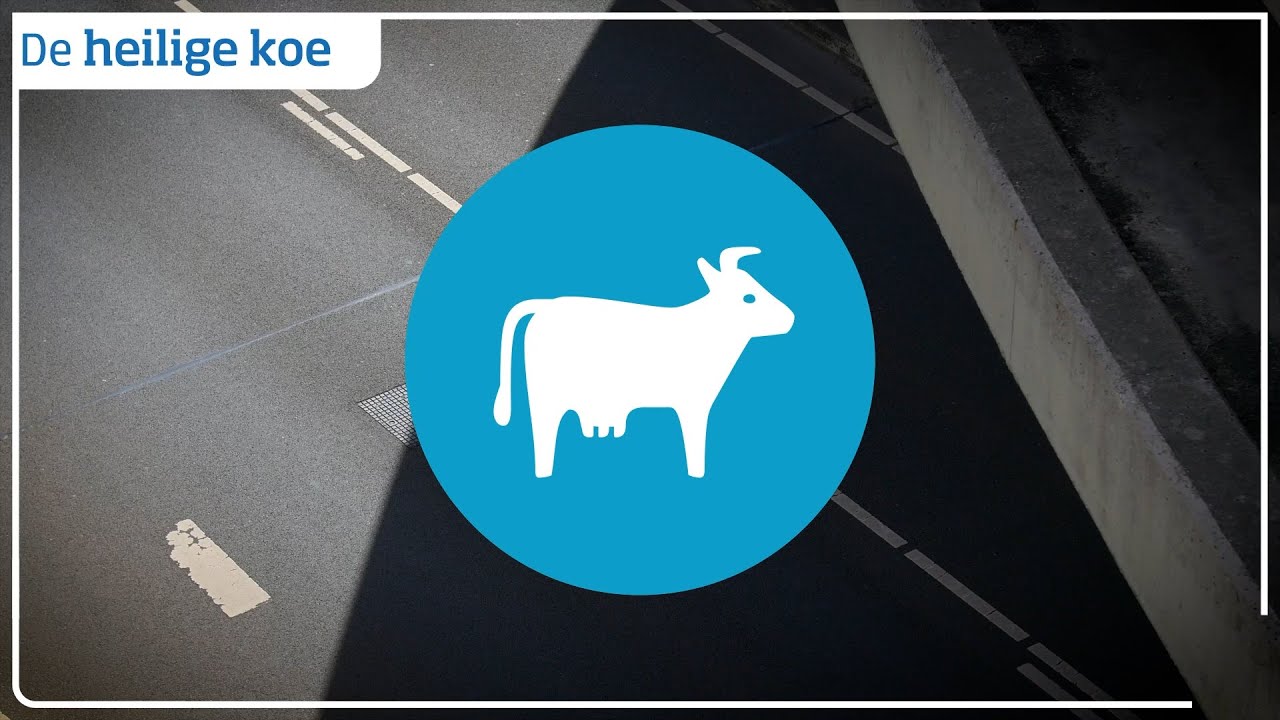 De heilige koe. Is de Nederlandse automobilist een snelheidsduivel?