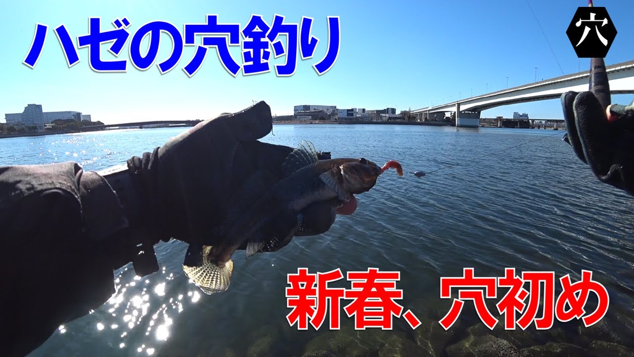 2026年ハゼの穴釣り初め！縁起のいい良型が釣れました