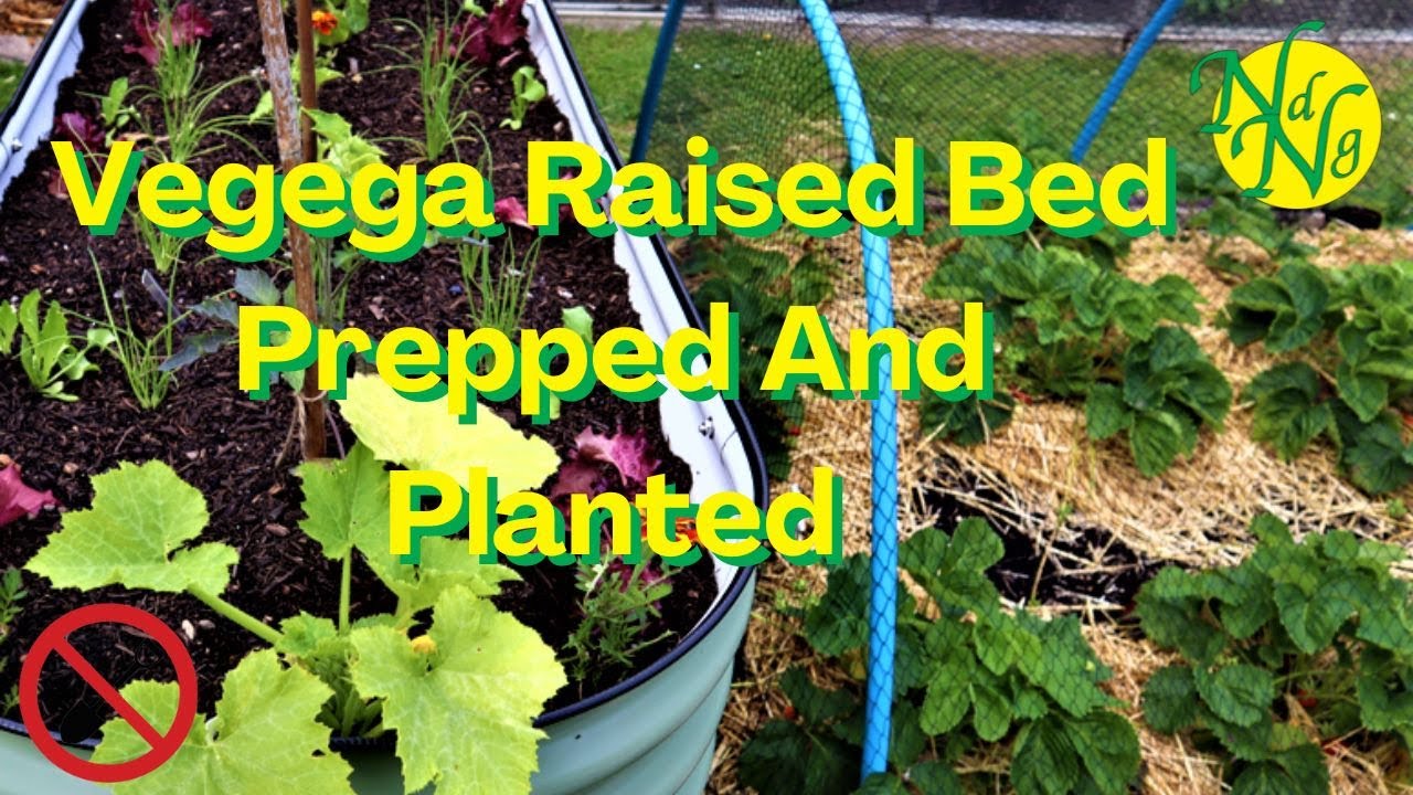 How To Fill Your Raised Bed For Planting: The No Dig method