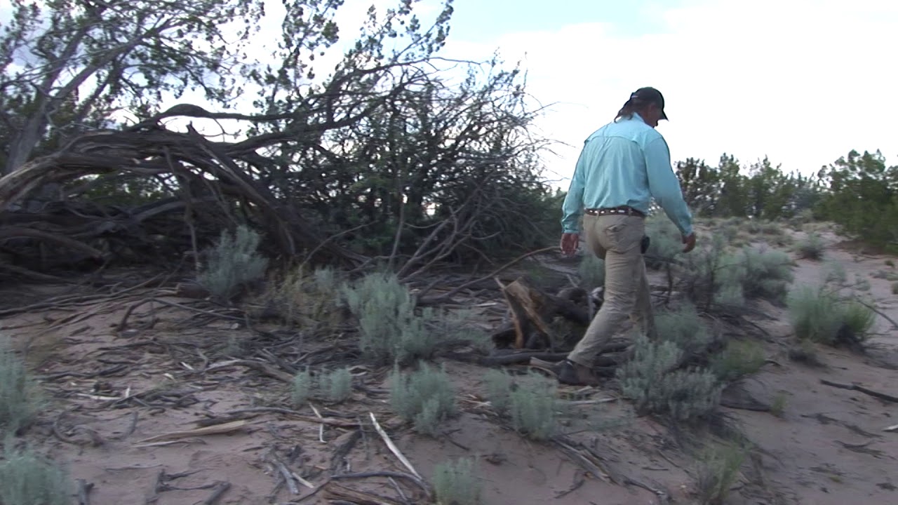 Vacant Lot 40 Acres! Witch Well Ranches St Johns, AZ - Item - 599453