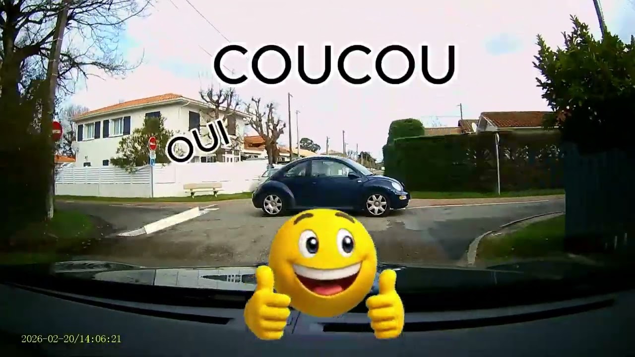 DACIA GANG