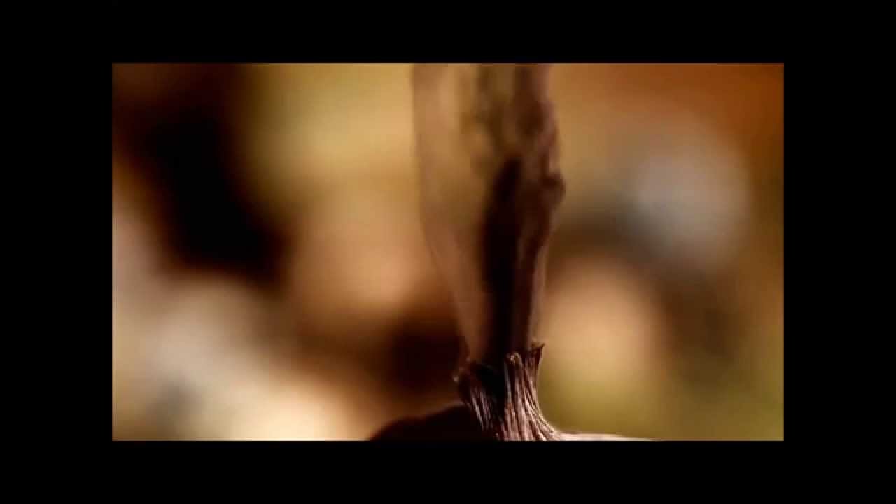 FURIA EXTREMA - fraccion de tiempo