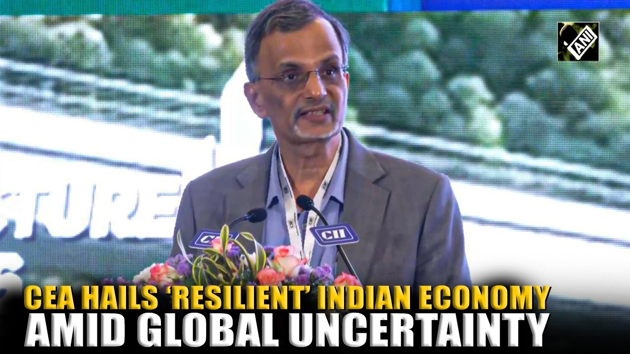 &ldquo;India has given a glimpse...&rdquo; CEA praises &lsquo;resilient&rsquo; Indian Economy despite global headwinds