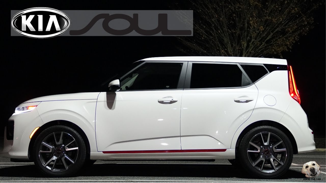 2020 Kia Soul GT-Line: Andie the Lab Review!