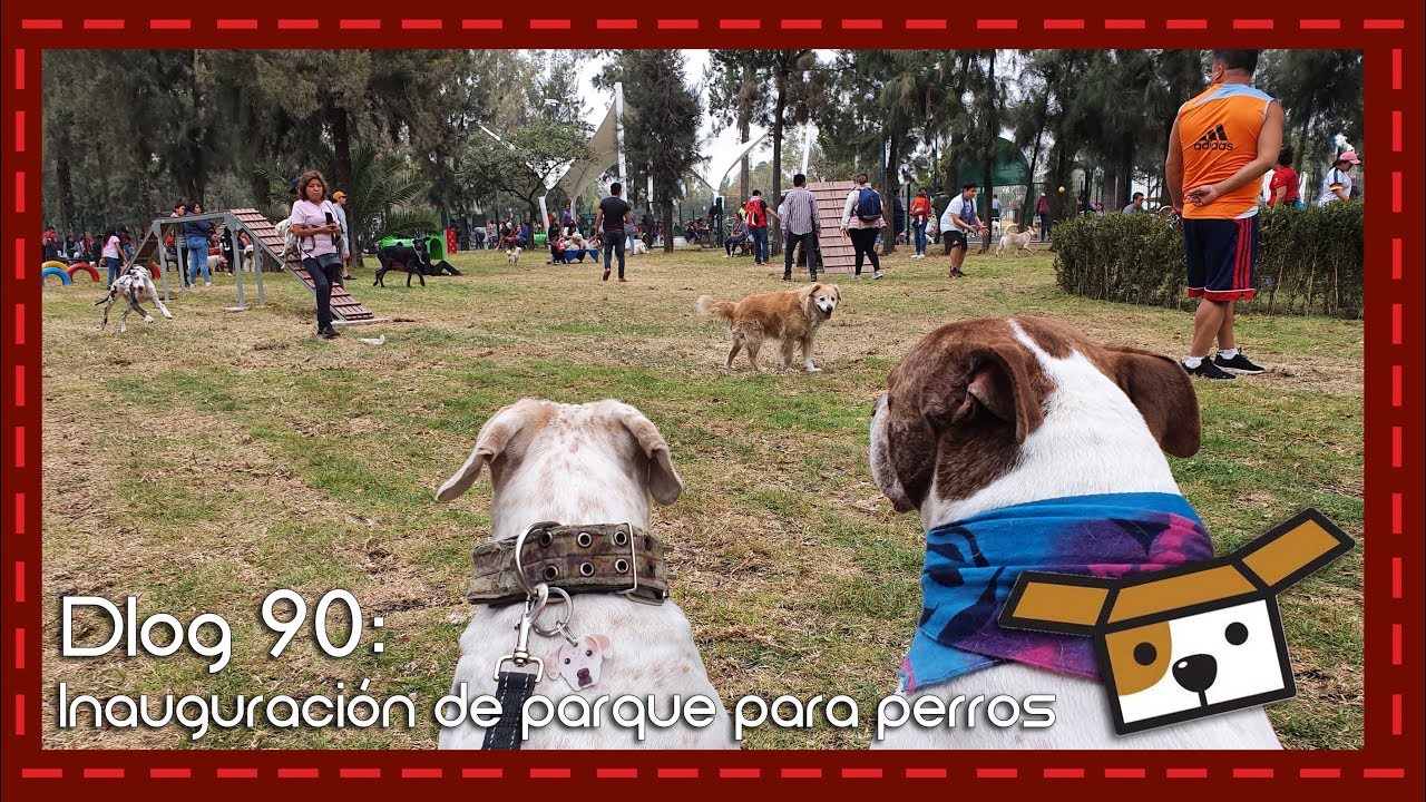 Dlog 90: Inauguración de parque especial para perros en Ciudad de México
