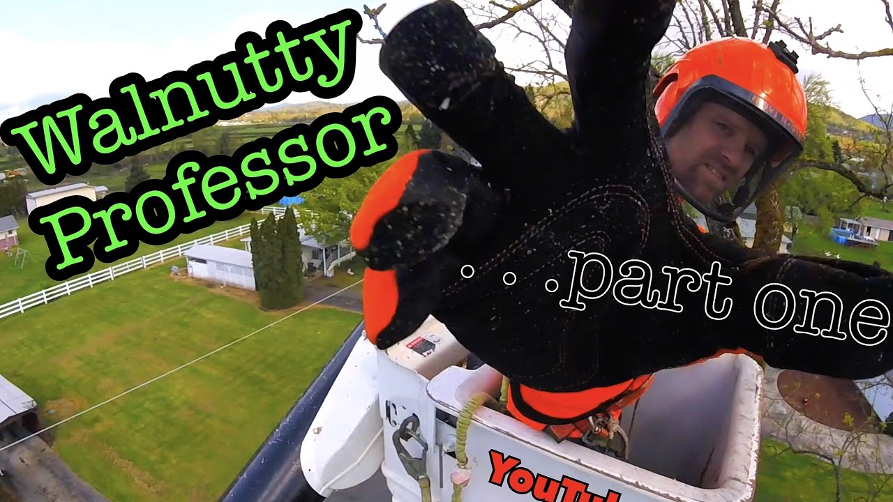 Walnutty Professor