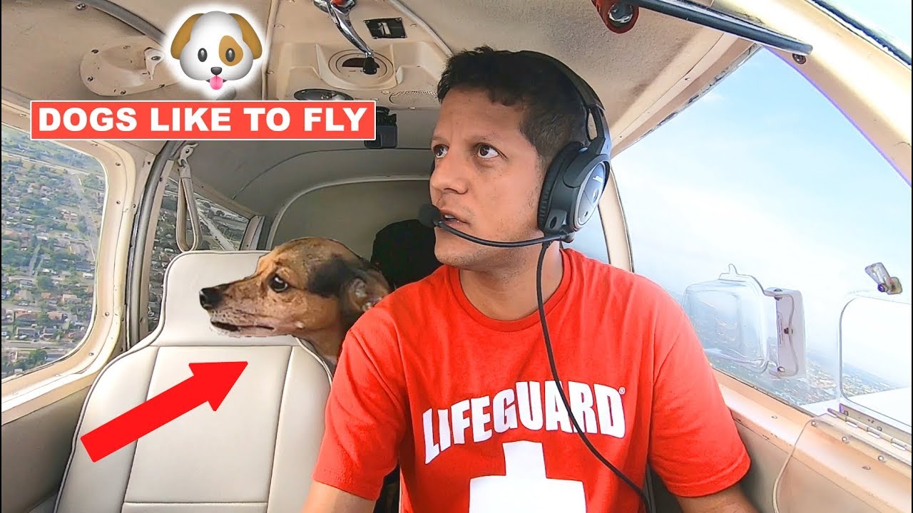 Shortest Flight in the world in a small airplane FXE to PMP flying VFR