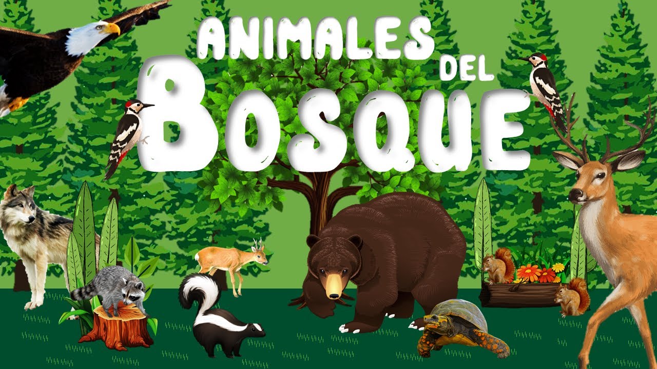 Animales del Bosque para niños | Sonidos de animales | Videos educativos | LeoFunTv