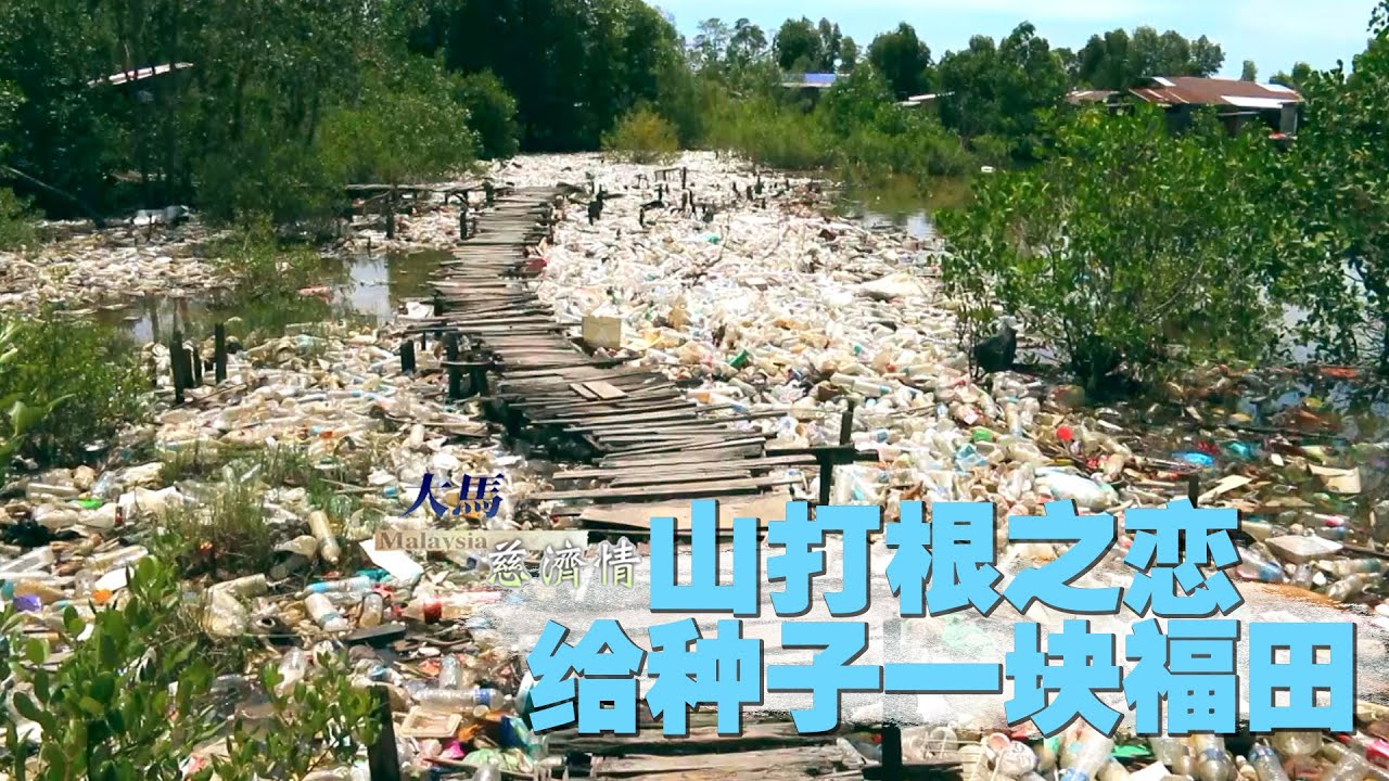 【大马慈济情：】20231114 - 山打根之恋｜给种子一块福田