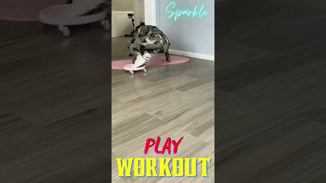 Play With Your Legs Exercise || High Speed Legs