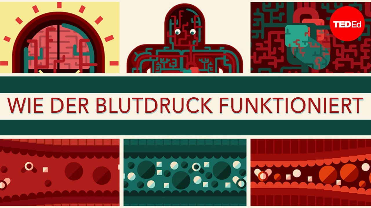 Wie der Blutdruck funktioniert - Wilfred Manzano
