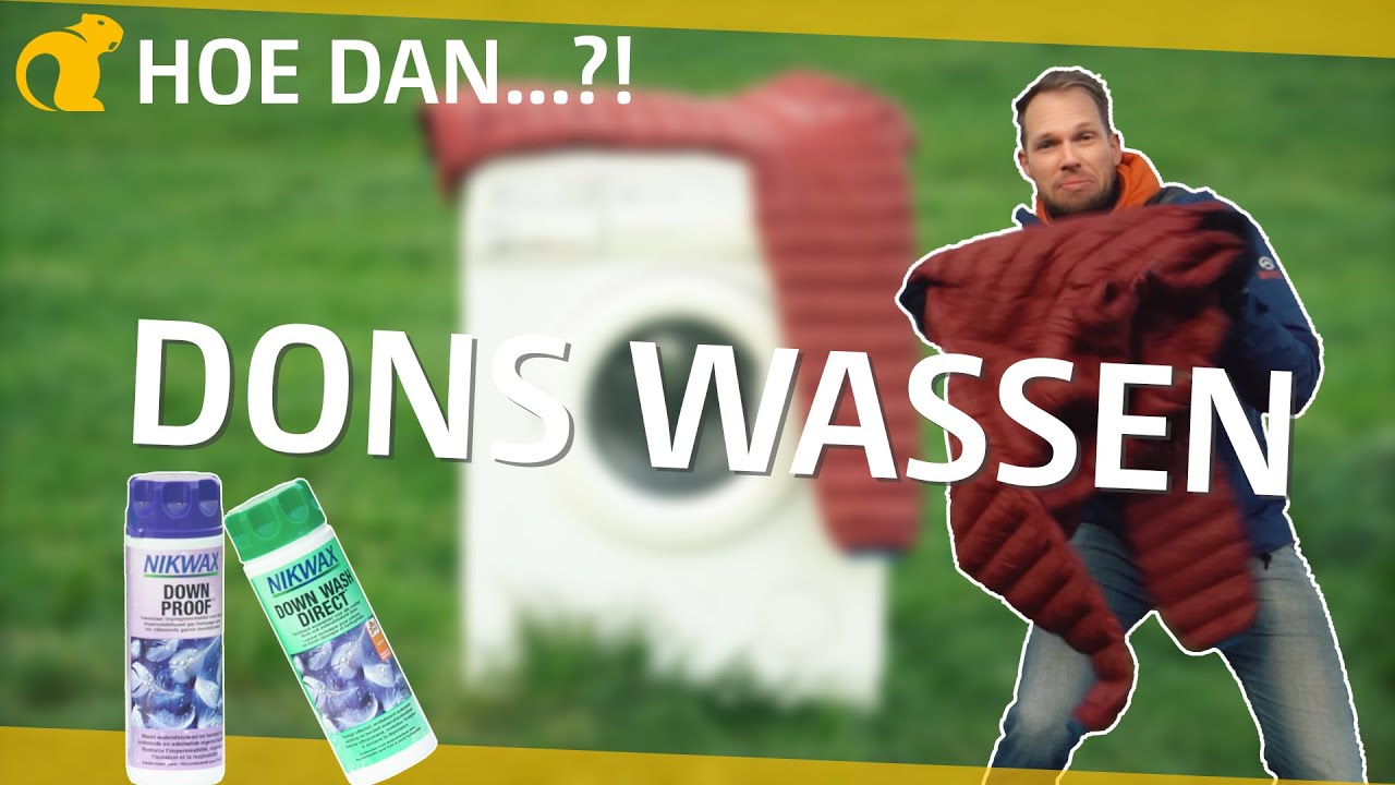 Hoe was je dons? | Bever