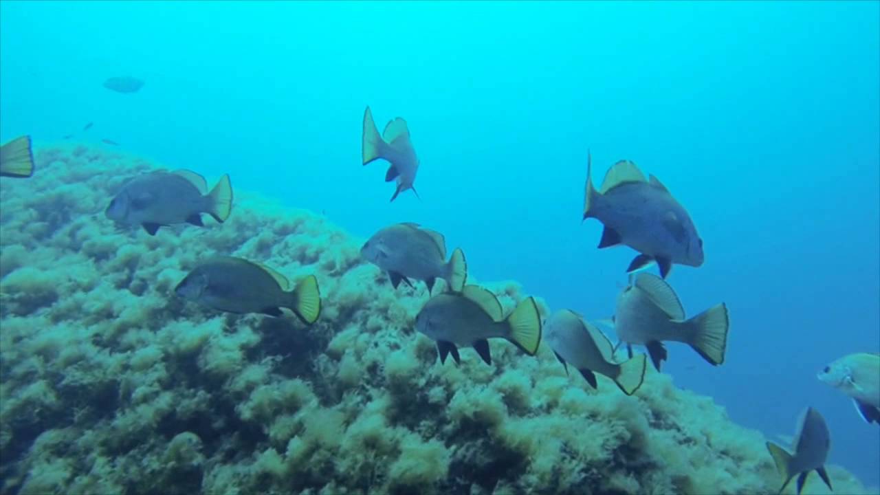 Portofino Marine Reserve