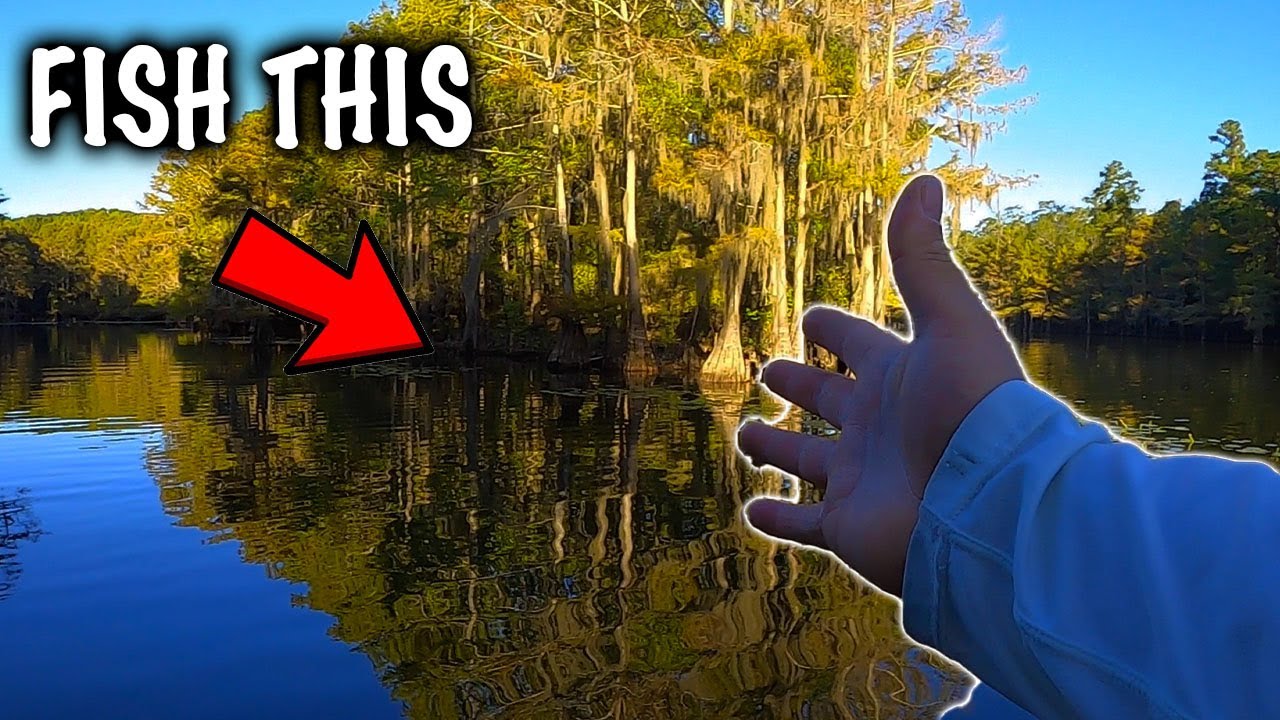 Pre Fishing For Tournament Part 2 || CADDO LAKE