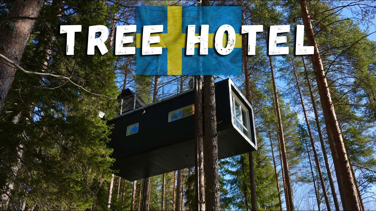 The Tree Hotel Sweden — остановитесь в ДОМИКЕ НА ДЕРЕВЕ!