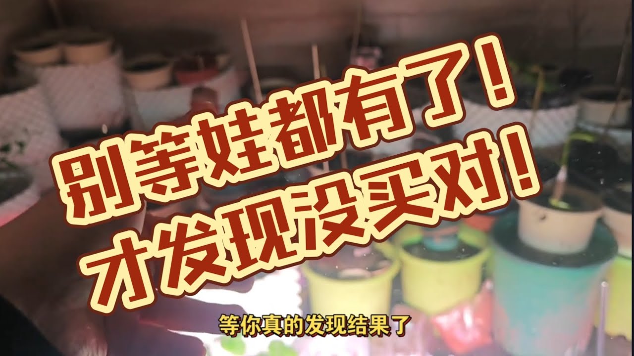 别等娃都有了！才发现没买对！