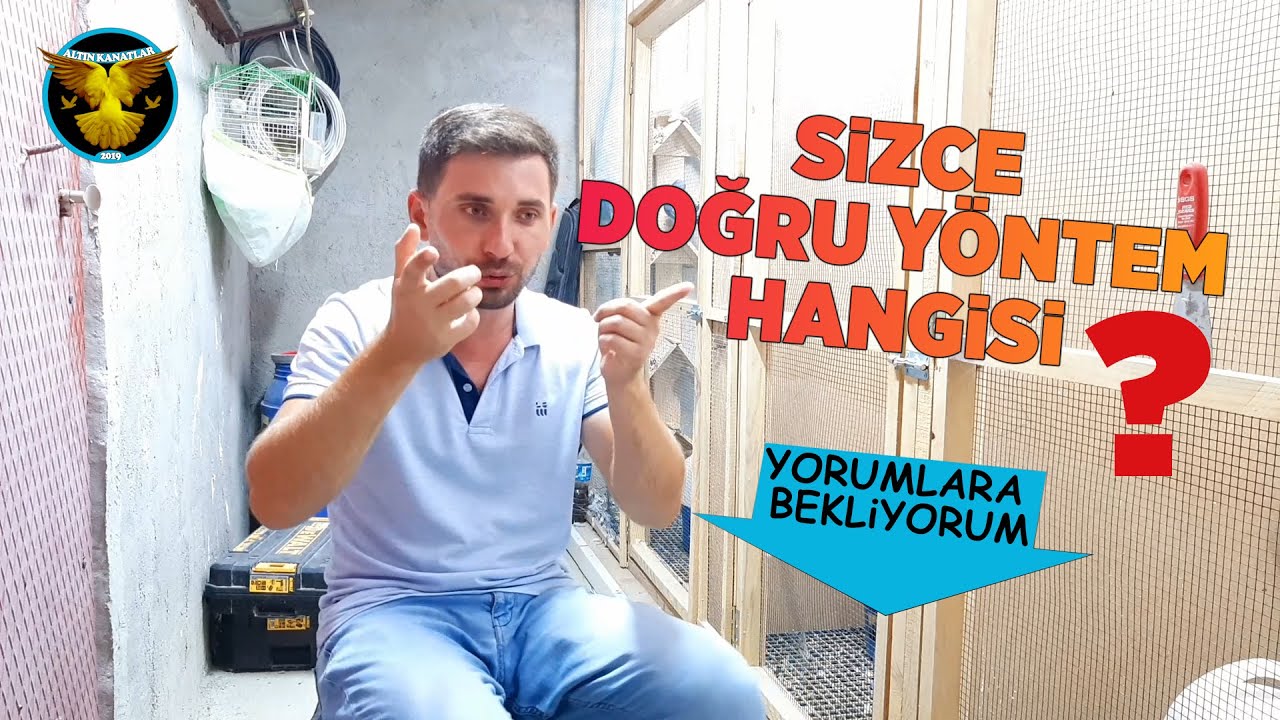 Güvercin uçurma yöntemi / ALTIN KANATLAR