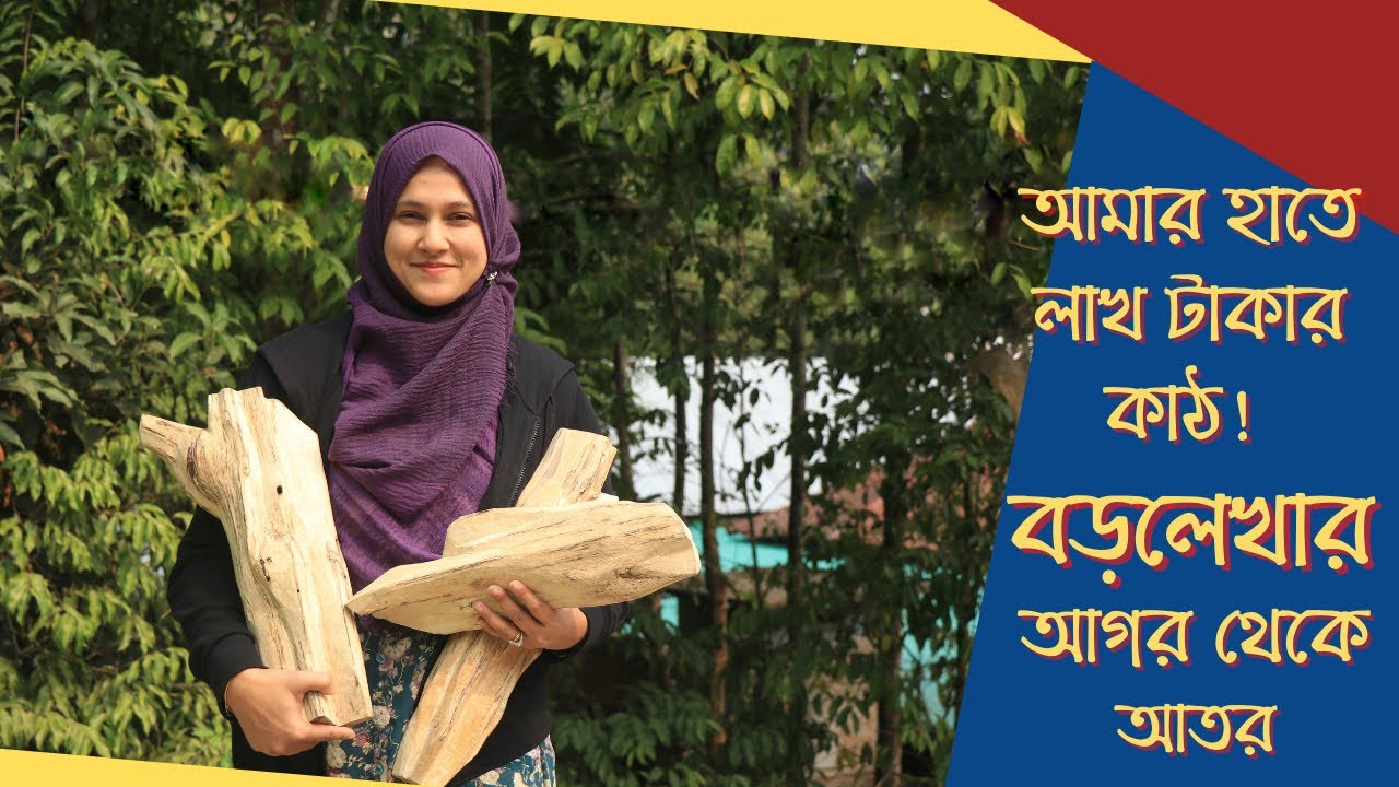 আগর আতরের স্বর্গরাজ্য বড়লেখার সুজানগর||Attor(Perfume)-The liquid gold of Barlekha||Orakatul Jannat||