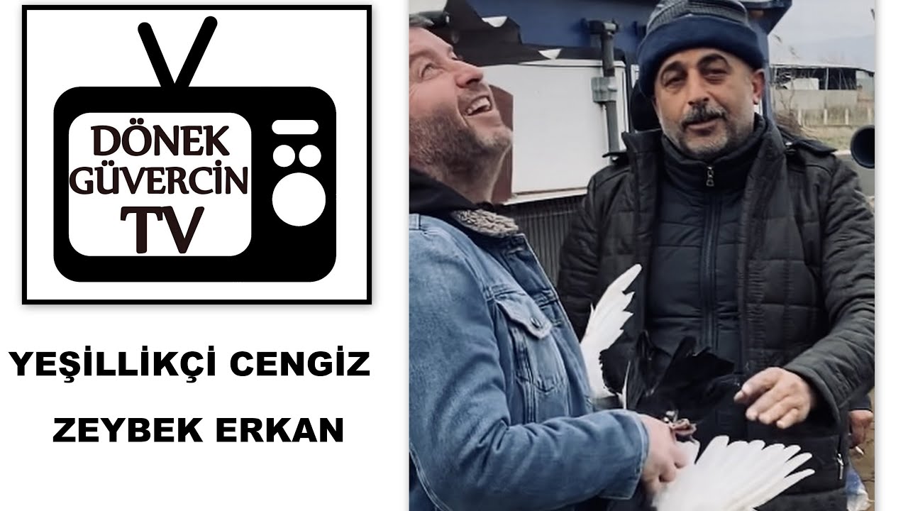 Dönek güvercin dönüş  Yeşillikçi Cengiz ve Zeybek Erkan. Hem sohbet hem de güvercin uçurduk.Dunek