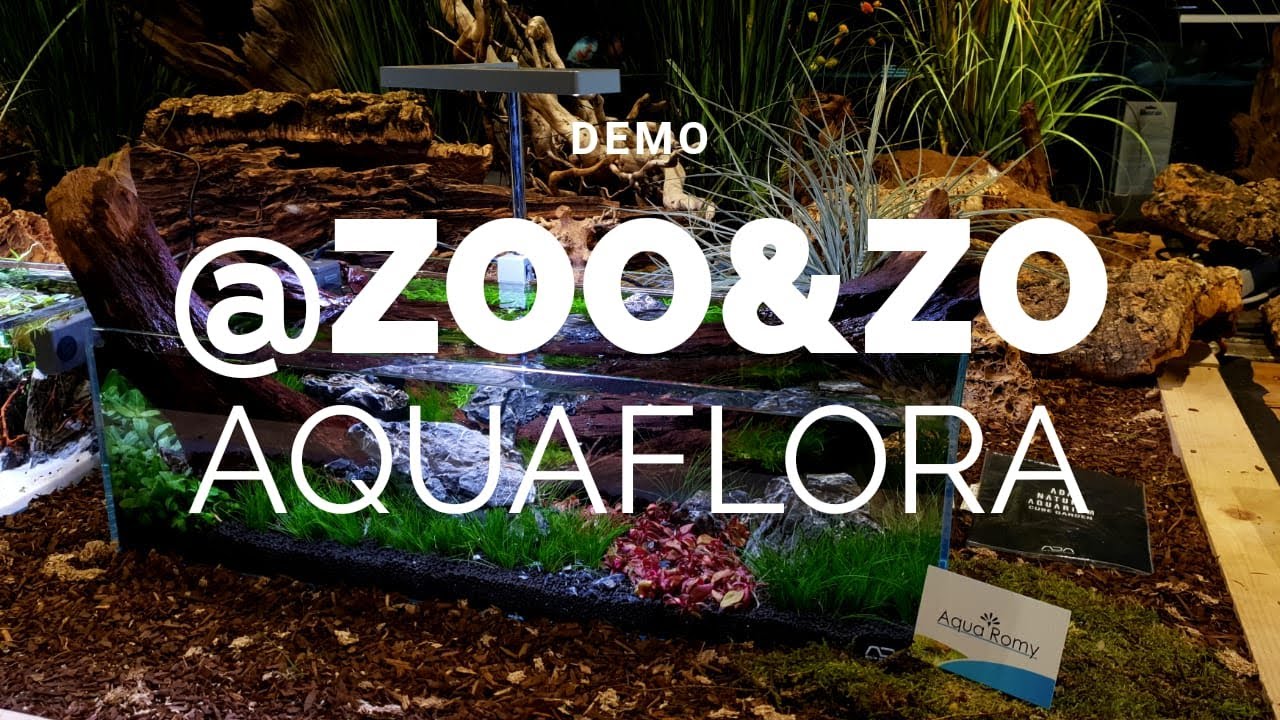 Zoo&zo aquascaping demo powered by Aquaflora - AquaRomy