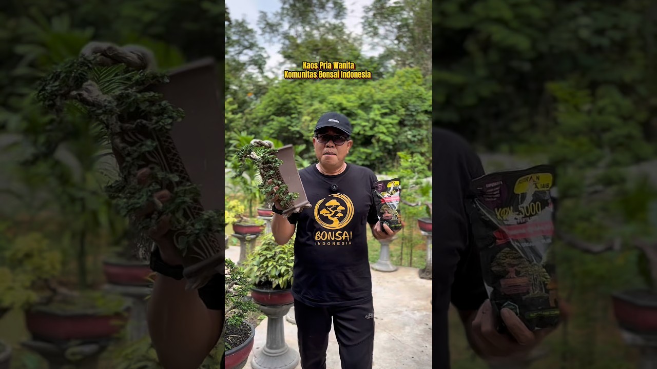 Kaos pria wanita komunitas bonsai Indonesia 