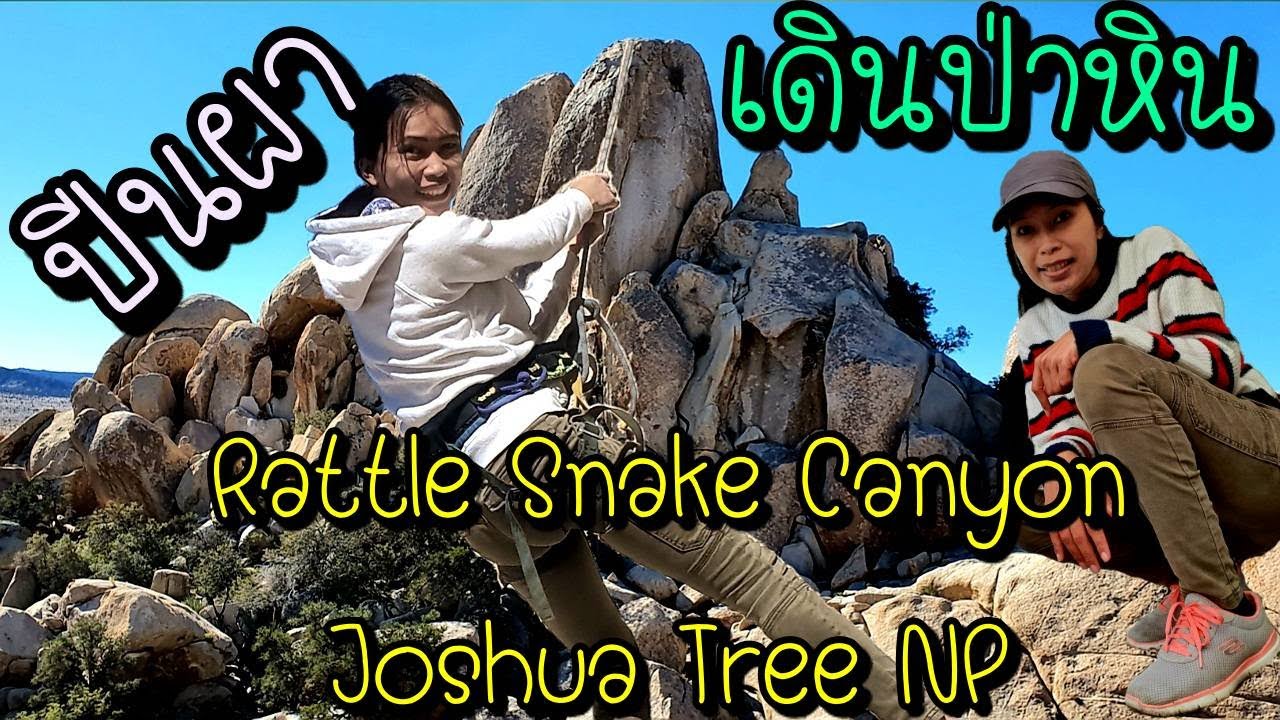 เที่ยวอเมริกา 1 ปีเต็มๆ Ep.7 Joshua Tree NP ปีหน้าผาที่อุทยานแห่งชาติโจชัวทรี