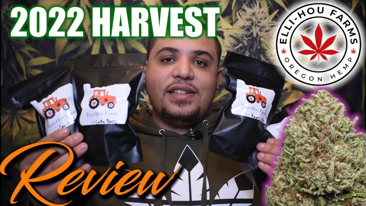 Elli Hou New 2022 Outdoor Harvest Review | CBD Hemp Flower Review