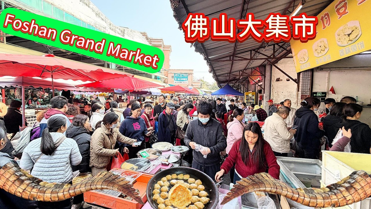 中國佛山大集市！被視為廣東最不可思議的墟市，這裡是煙火氣的天花板，會讓你會明白，廣東沒有什麼是不能吃，只有你想不到的。傳統美食，本地特色時令食材，鱷魚等應有盡有！#traditionalmarket