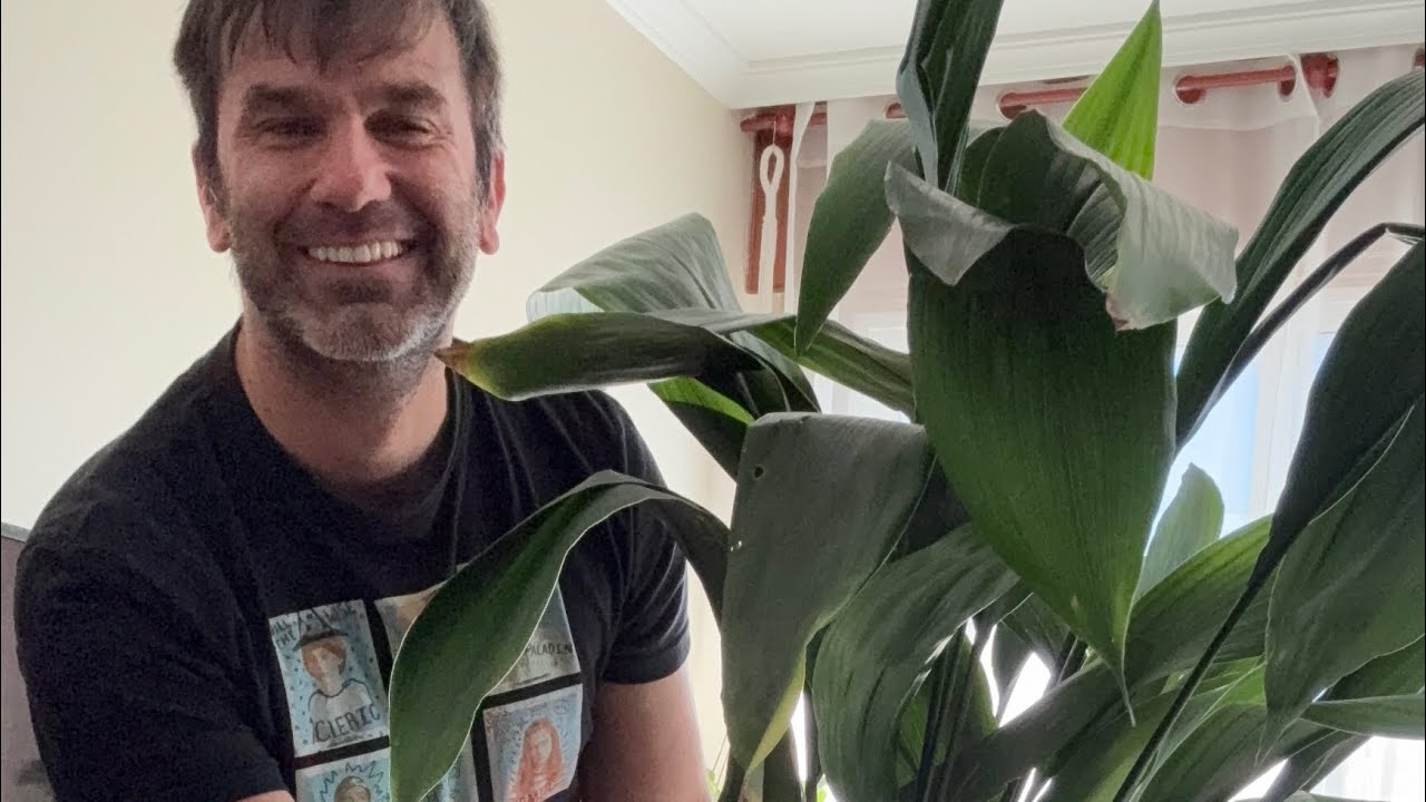 EXCLUSIVO MIEMBROS: nueva planta #ASPIDISTRA (mantenimiento al llegar a casa)