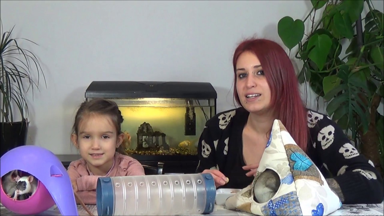 LES RATS D'ACHERON - PRESENTATIONS