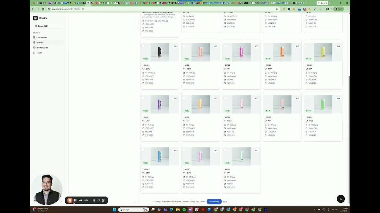 wordpress woocommerce image sync with brandr ai