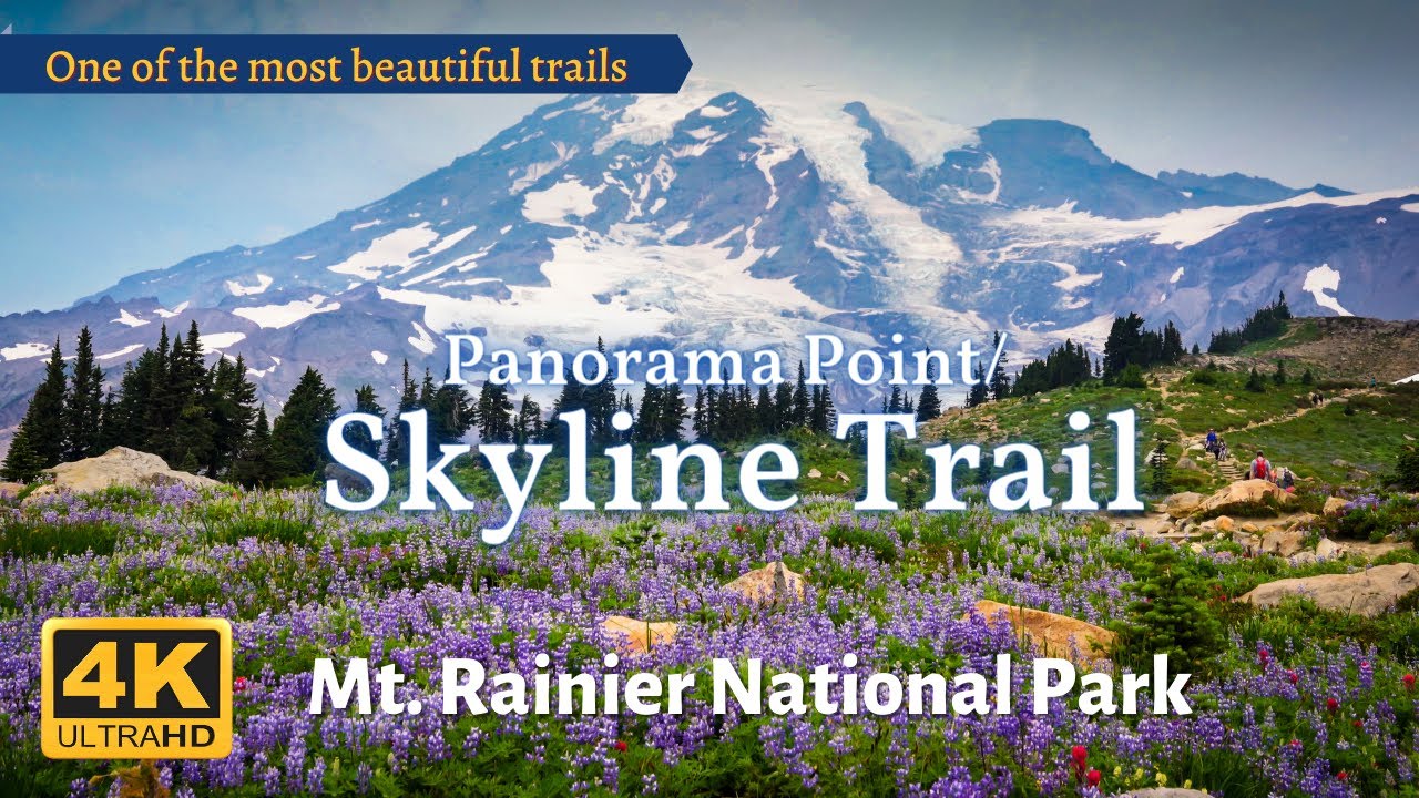 Mt. Rainier National Park | Panorama Point/ Skyline Trail | Wildflowers