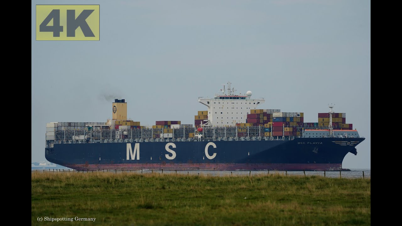 MSC FLAVIA - Shipspotting Germany 🇩🇪 IMO 9467433 - River Elbe near City Otterndorf - 4K VIDEO