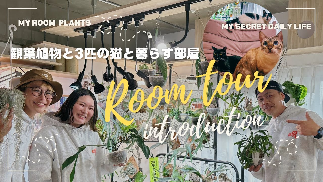 【視聴者お宅訪問】30代ひとり暮らし、猫３匹と観葉植物に囲まれたおしゃれハウスを探訪　#インテリア#インテリアグリーン#観葉植物のある暮らし